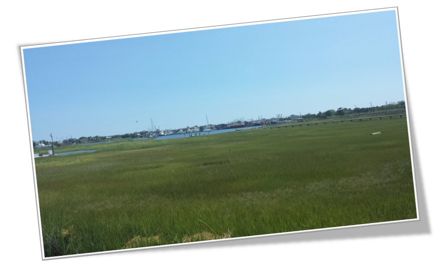 Southern Ocean Real Estate Communities | Stafford | Barnegat | LBI | Waretown | Little Egg Harbor